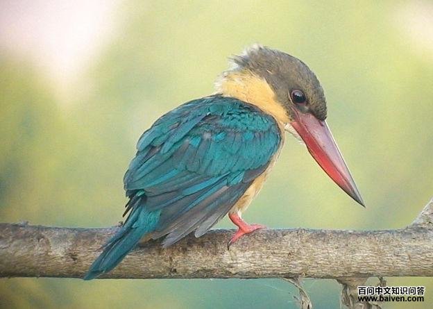 ����ƣ��������