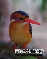 С������