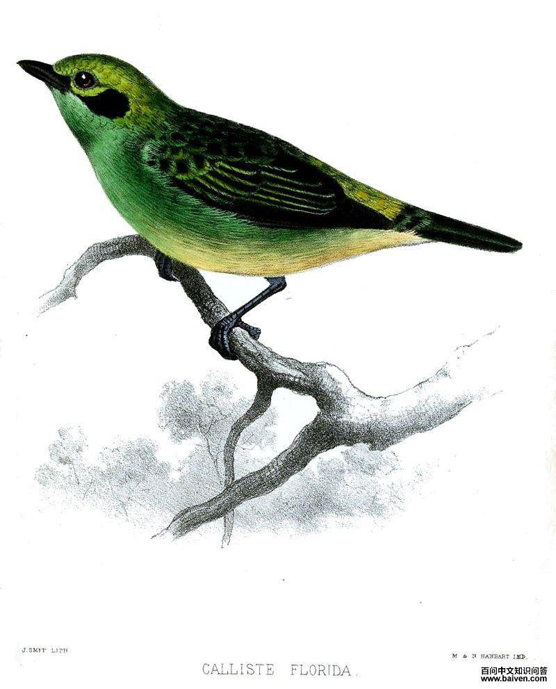 �����Ƽ���ȸ��ͼƬ