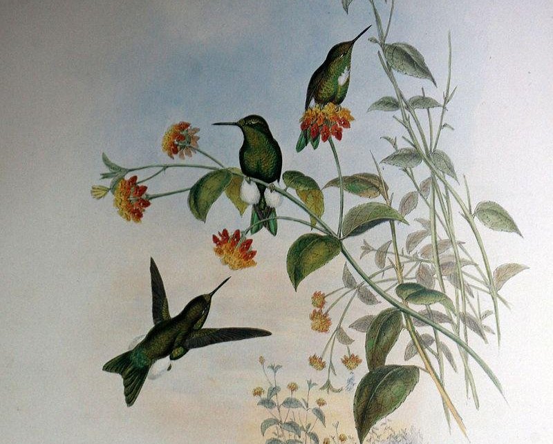 �丹ë�ȷ����ͼƬ