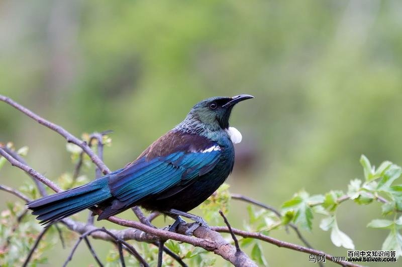 �����������ͼƬ