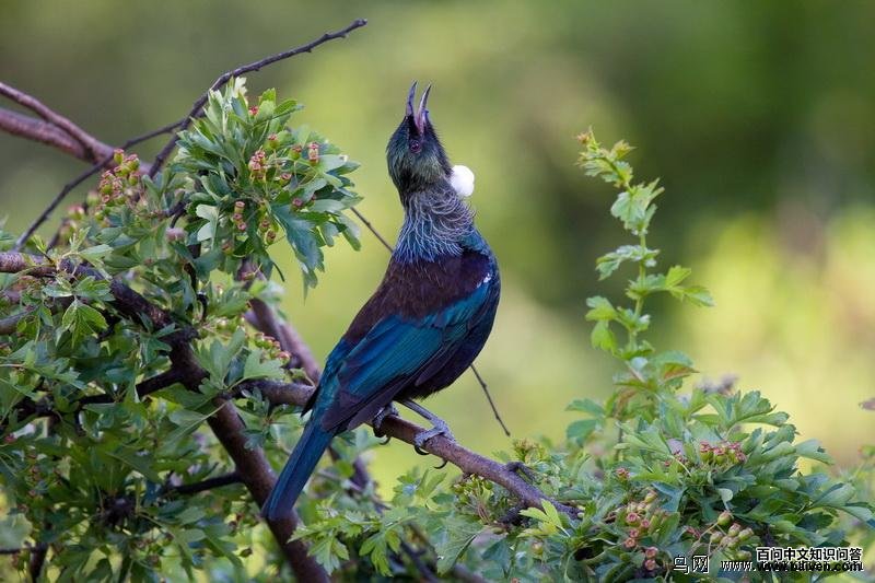 ͺ���������������������࣬���ߺ�ʯ��