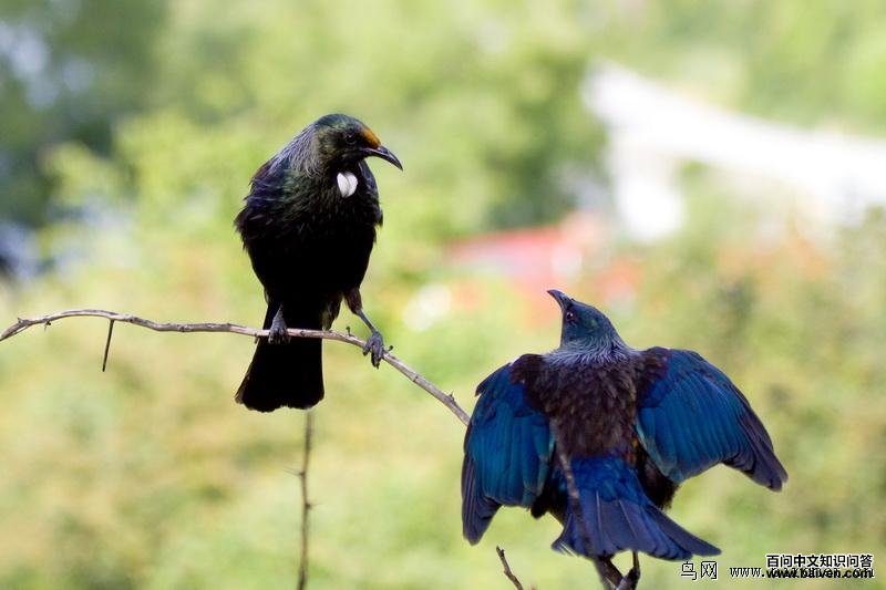 ͺ���������������������࣬���ߺ�ʯ��