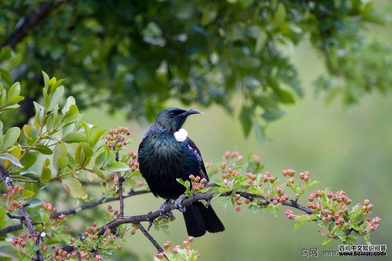 ͺ���������������������࣬���ߺ�ʯ��