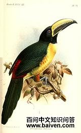 �������������