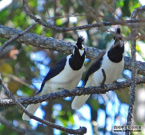 ����ѻ��ͼƬ