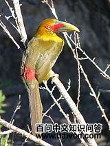 �ٻƾ�����