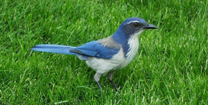 ��ѻ����ͼƬ