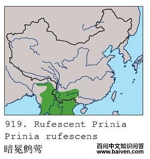 ����ɽ��ݺ