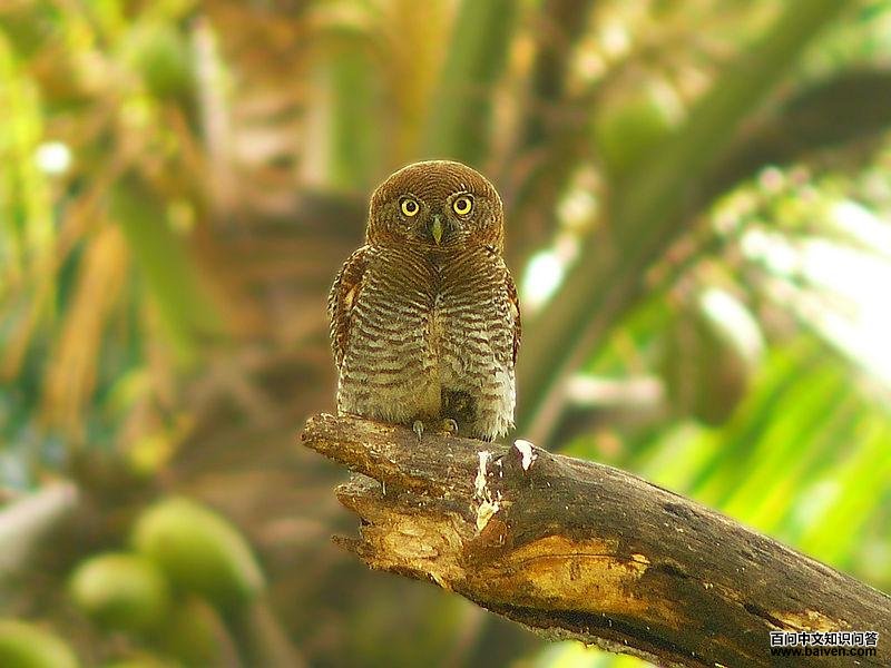 ������m��ͼƬ