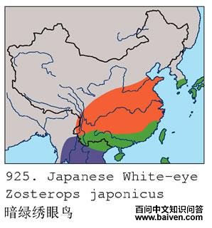 ���������񣺵����ֲ�ͼ