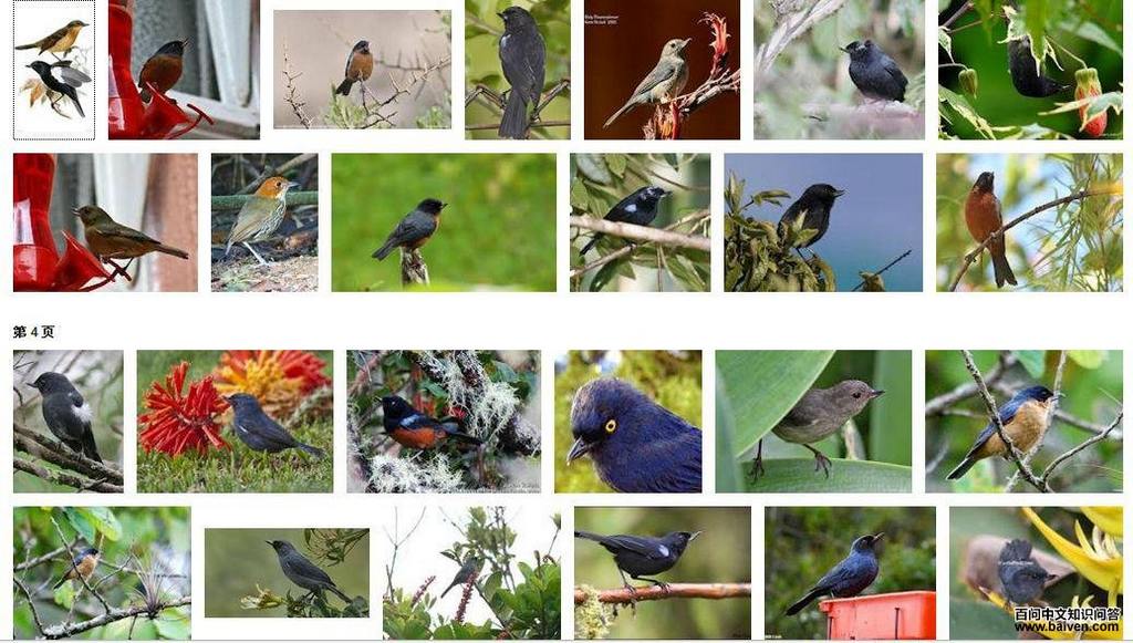 �̻�������ͼƬ