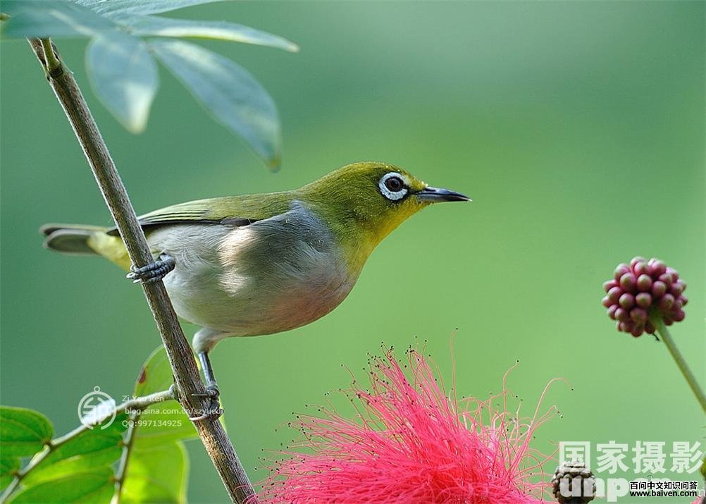 �����������ͼƬ