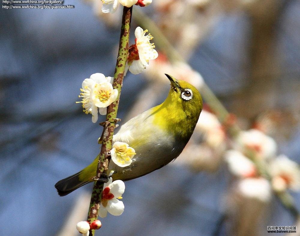 �Ҹ���������������߻�ɫ����