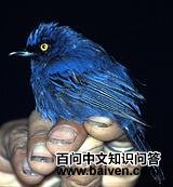 ���̻���