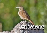 ��������ȸ��ͼƬ