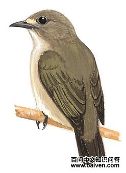 ��ɫ�Ļ�����̬����ͼ