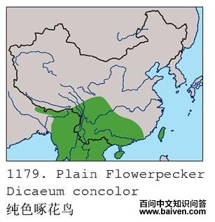 ��ɫ�Ļ��񣺵����ֲ�ͼ