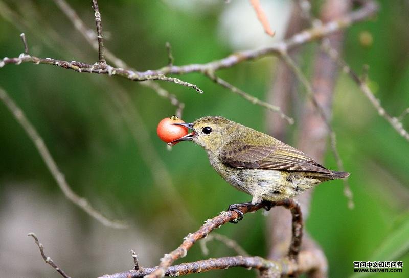 ��ɫ�Ļ���Թ�ʵ�������Ϻ���Ӱ