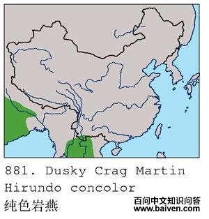 ��ɫ����