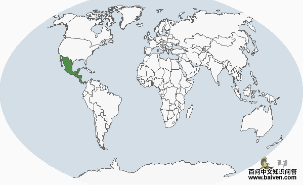 ��ɫέ����