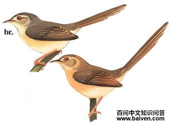 ��ɫɽ��ݺ����̬����ͼ