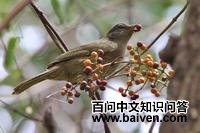 ��ɫ���ǵ�ͼƬ