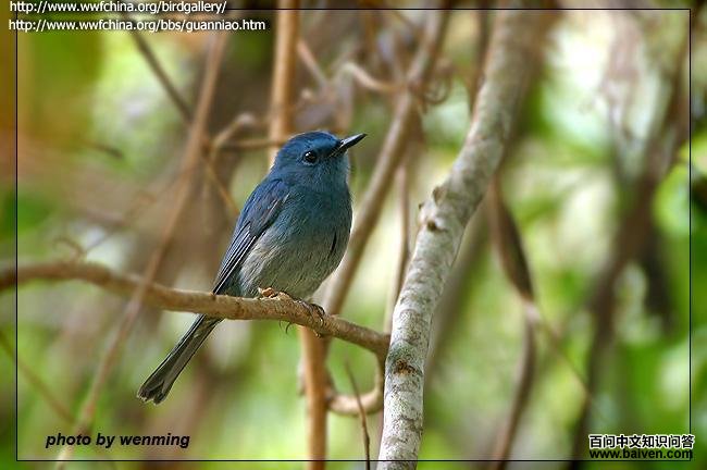 �������l��ͼƬ