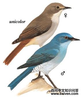 �������l