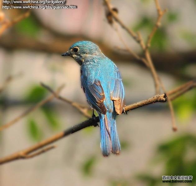 �������l