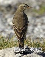 �����ҵ�ͼƬ