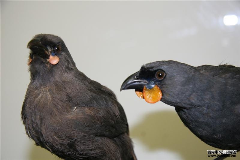 ����ѻ��ͼƬ