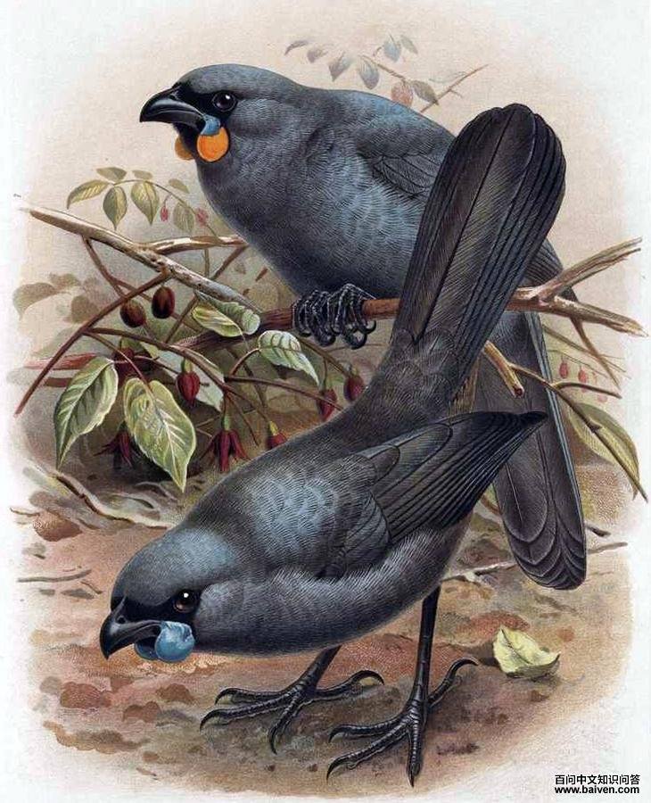 ��������ѻ���£����ϵ�����ѻ���ϣ�