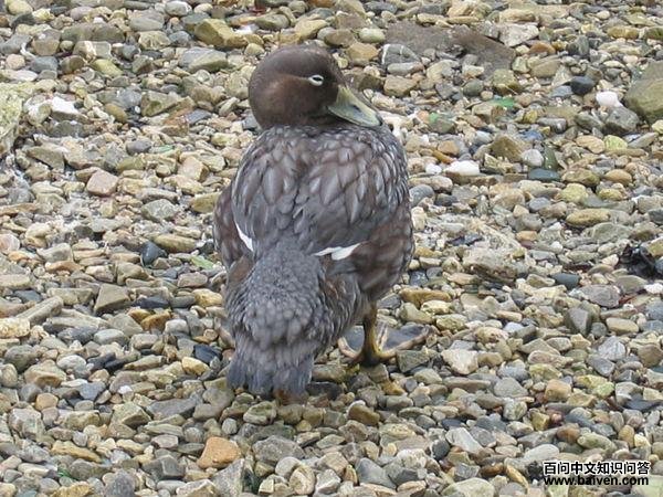 ��Ѽ����ͼƬ