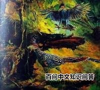 ���ݿ�����