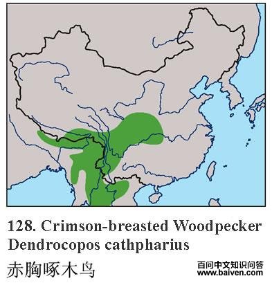 ������ľ������ֲ�ͼ