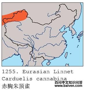 �����춥ȸ�������ֲ�ͼ