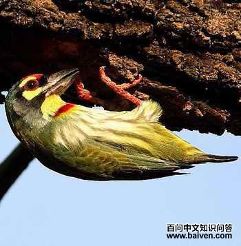 ��������ľ���ͼƬ