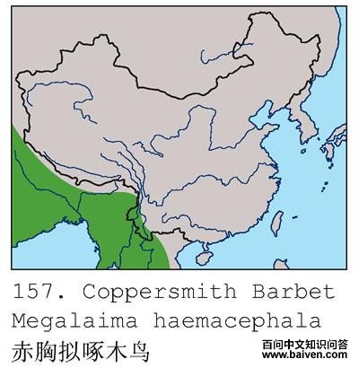 ��������ľ��ֲ�ͼ