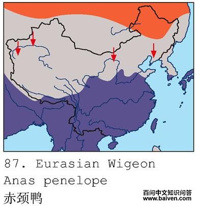 �ྱѼ�����ֲ�ͼ