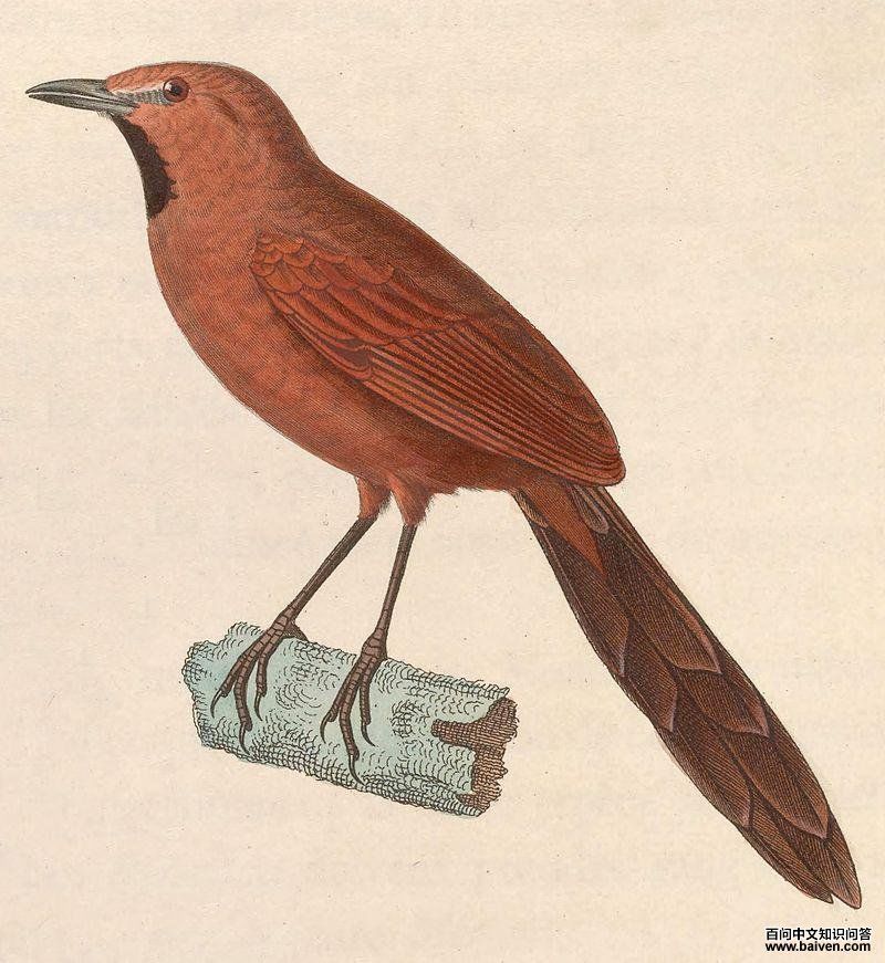 �����βȸ��ͼƬ