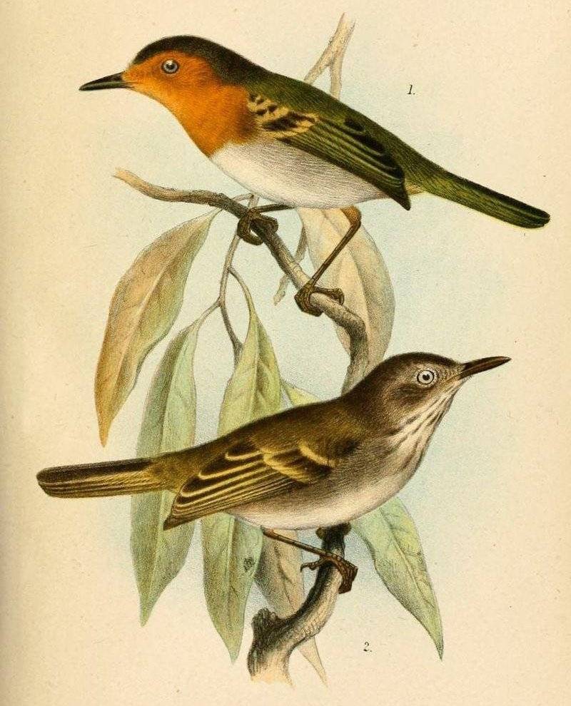 ����ư��l��ͼƬ