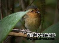 ����ư��l