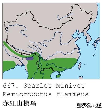 ���ɽ���񣺵����ֲ�ͼ