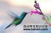 ����������ͼƬ