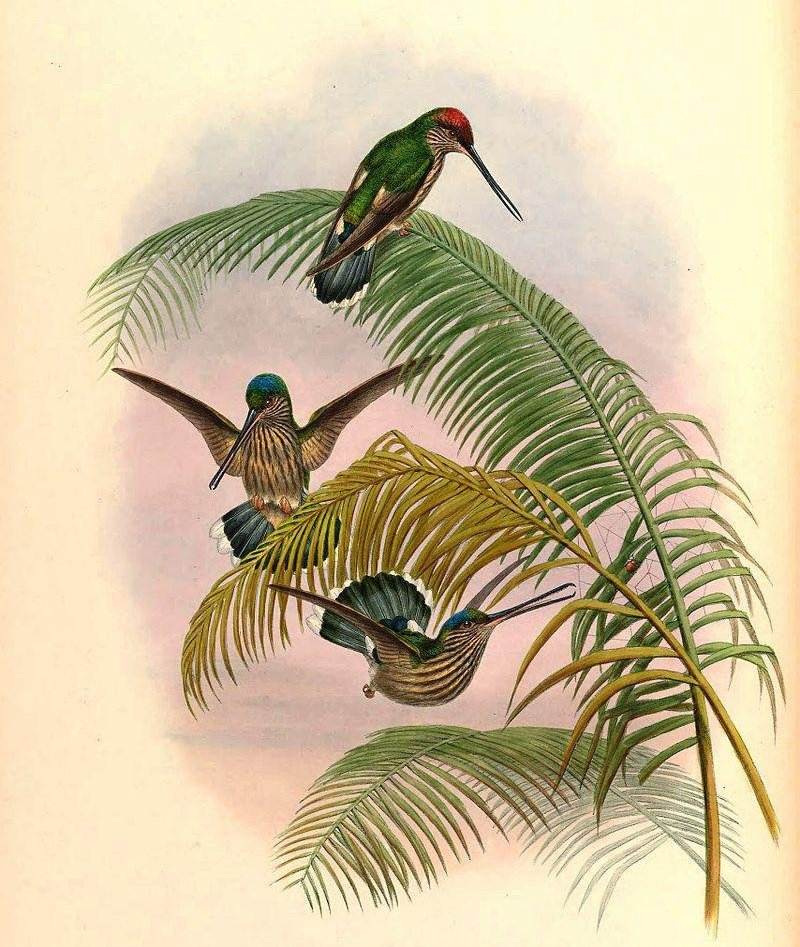 ��������ͼƬ