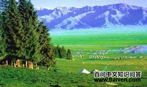 ����̩ѩ��