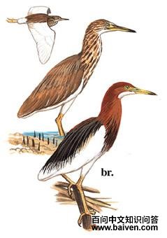 ���أ���̬����ͼ