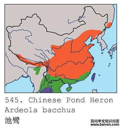 ���أ������ֲ�ͼ