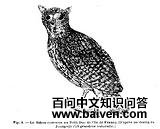 �������^��